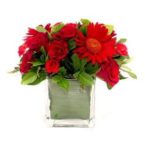 Rose and Gerbera in Square Vase
