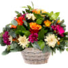 A bright basket of flowers. A selection of bright seasonal floral blooms such as roses and gerberas, suitable for all occasions birthday condolence baby flowers floral online florist deliver