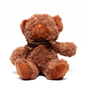 Teddy