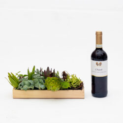 Wine and Succulent Gift