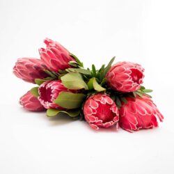 Protea-Bunch-Flower-Bunch-Flowers