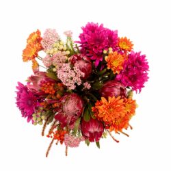 Protea-Rustic-Bunch-Flower-Bunch-Flowers
