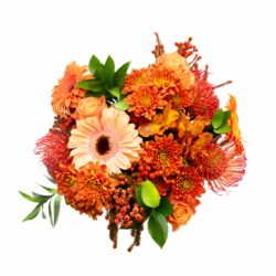 Burst-of-Orange-Flower-Bunch-Flowers