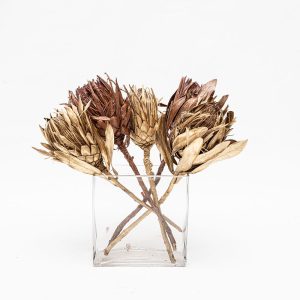 Metallic Dried Proteas