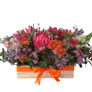 Protea Box Arrangement