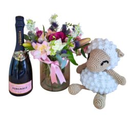 It's a Girl Cuddly Gift Set