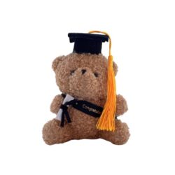 Graduation Teddy Bear