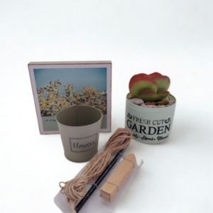 The Garden Lover