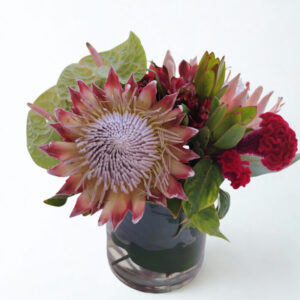 King Protea and Anthurium Vase