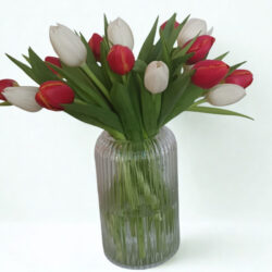 Red and White Tulip Bouquet
