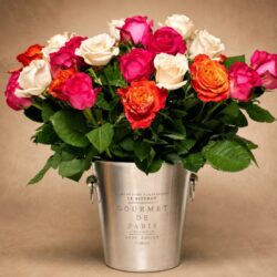 Celebration of Roses