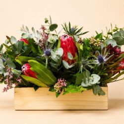 Protea Box Arrangement