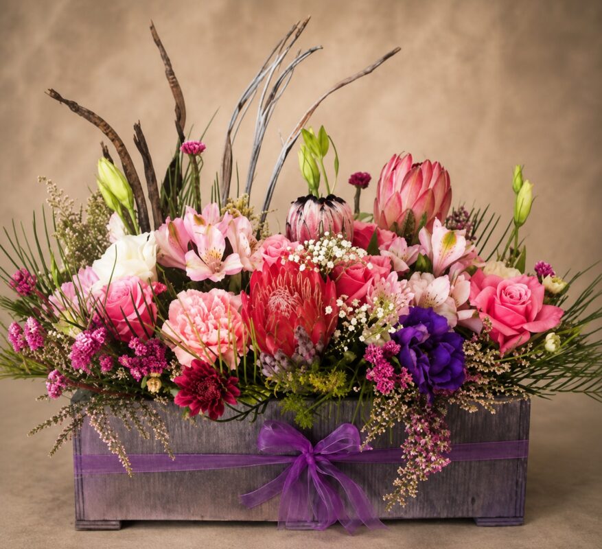 Protea Extravaganza