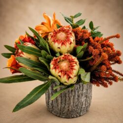 Protea Sunset Arrangement