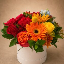 Rainbow Hatbox