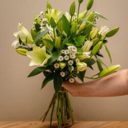 Lily Bunch
