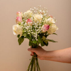 Roses with Baby's Breath - Select your colour roses with baby's breath